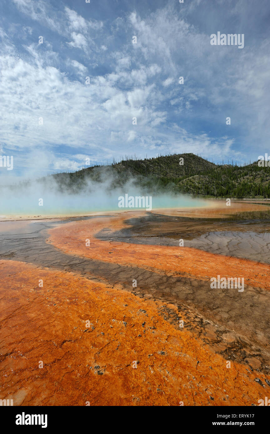 Grand Prismatic Hot Spring dans le parc national de Yellowstone au Wyoming ; USA ; United States of America Banque D'Images