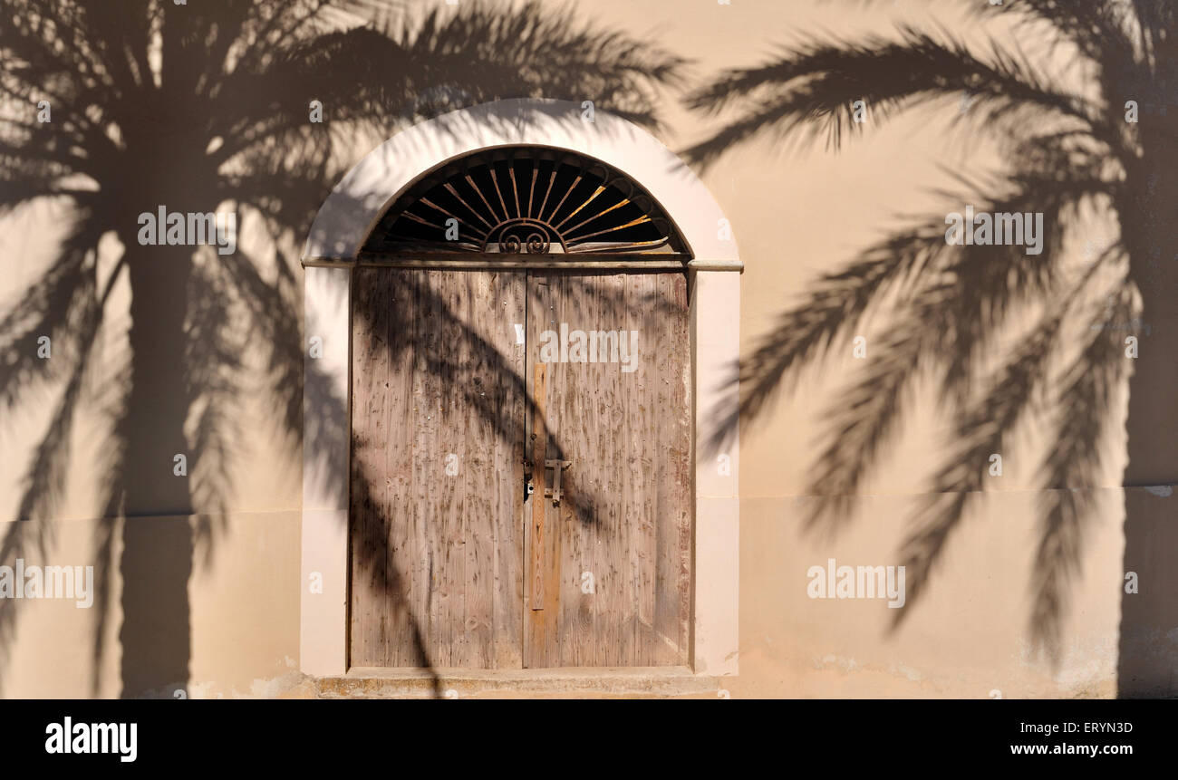 Palmier des ombres sur le mur d'une maison avec grande porte en bois Banque D'Images