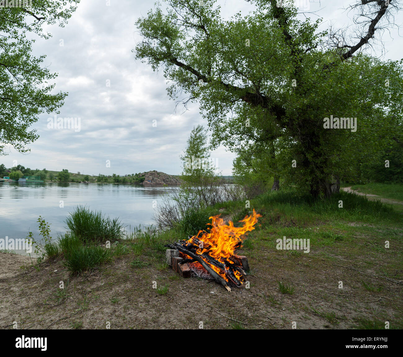 Feu de forêt au printemps. Les charbons de feu. Crépuscule en Ukraine Banque D'Images
