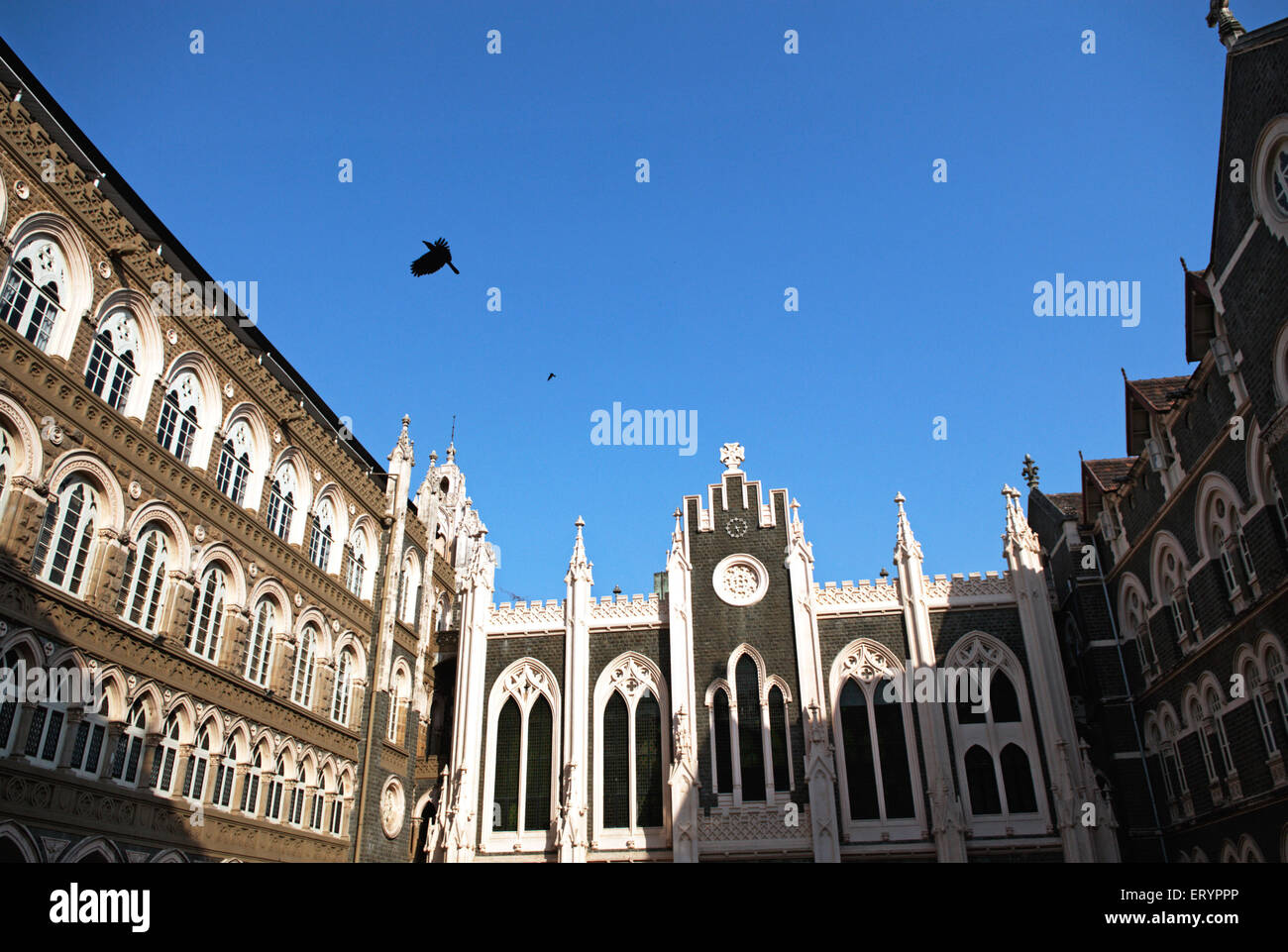 Collège Saint-Xavier , ancienne architecture , Bombay , Mumbai ; Maharashtra ; Inde , asie Banque D'Images