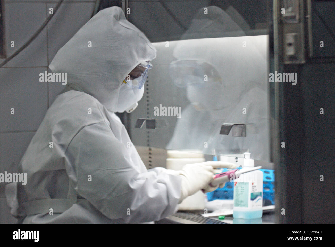 L'essai scientifique des échantillons de grippe porcine à haffkine institute ; Bombay Mumbai Maharashtra ; Inde ; 10 août 2009 Banque D'Images