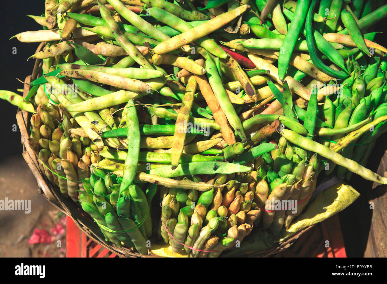 Haricots verts végétaux , Munnar Vegetable Market , Munnar , Idukki , Kerala , Inde , Asie Banque D'Images