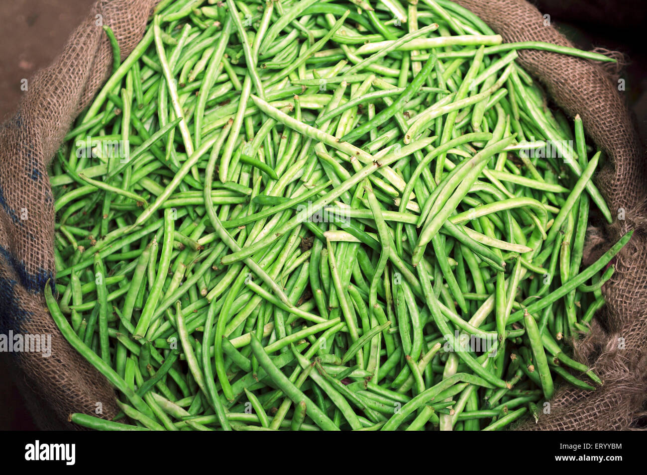 Haricots verts , haricots à cordes , haricots à cordes , haricots à cordes , haricots mange-tout , Snap , Munnar Vegetable Market , Munnar , Idukki , Kerala , Inde , Asie Banque D'Images