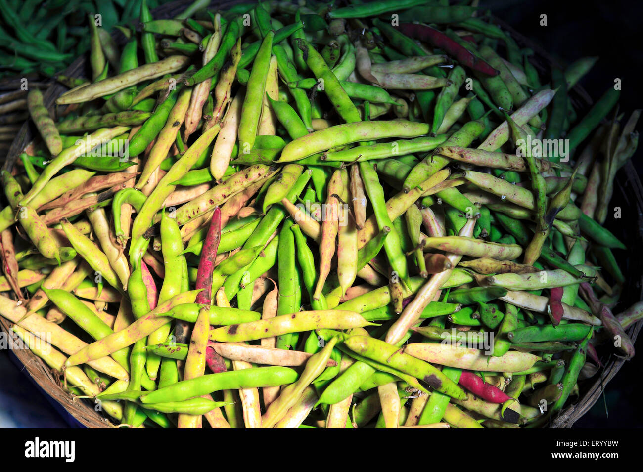 Haricots français , Munnar Vegetable Market , Munnar , Idukki , Kerala , Inde , Asie Banque D'Images