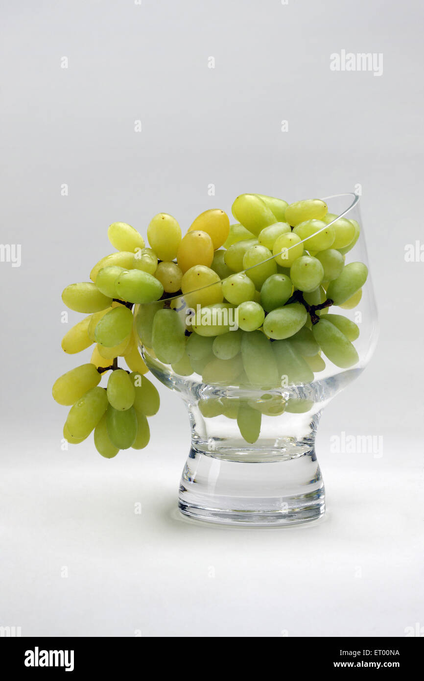Raisins verts ; Citrus paradisi dans un verre ; Inde Banque D'Images