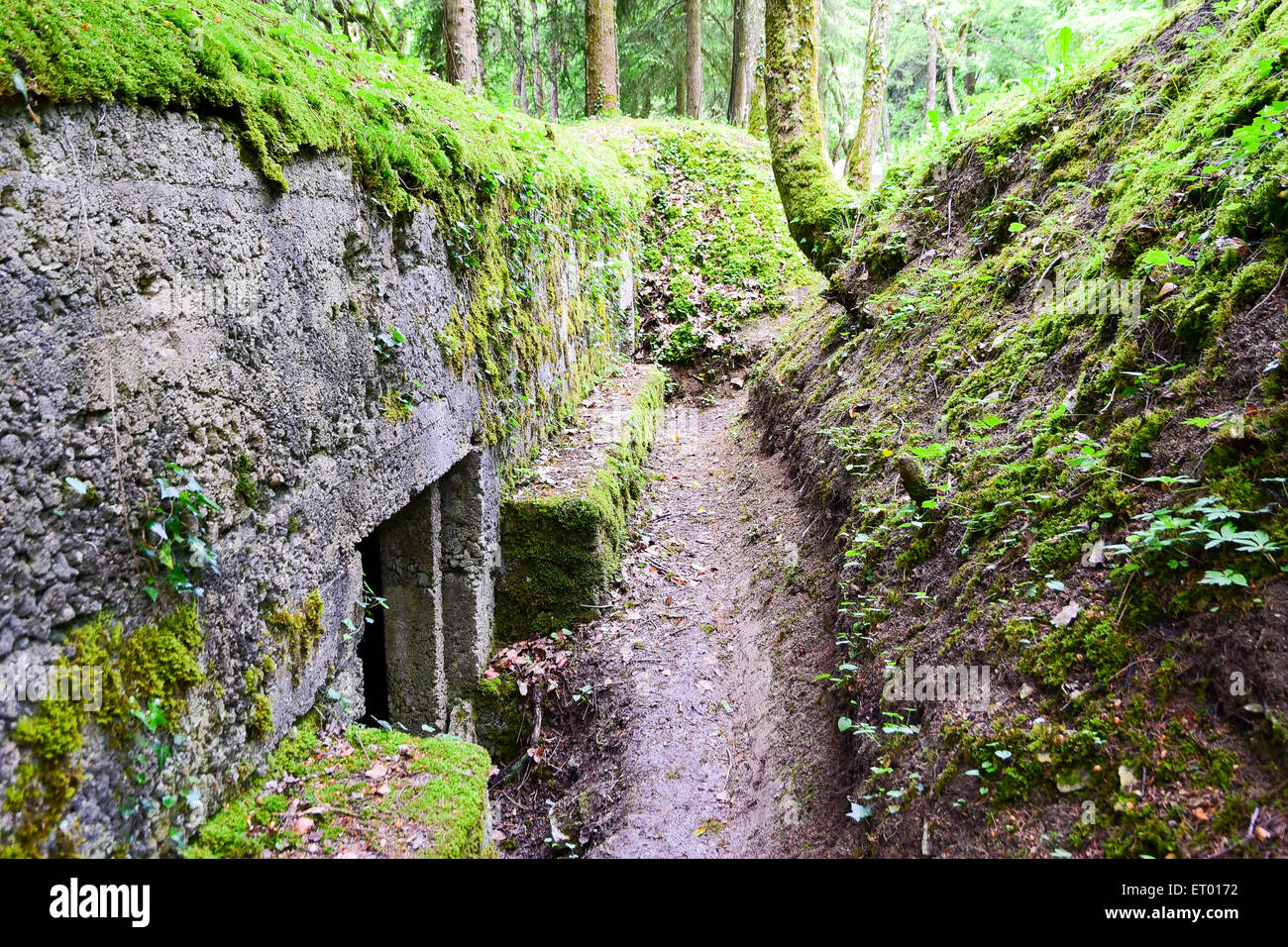 German ww1 trench dugout Banque de photographies et d’images à haute ...