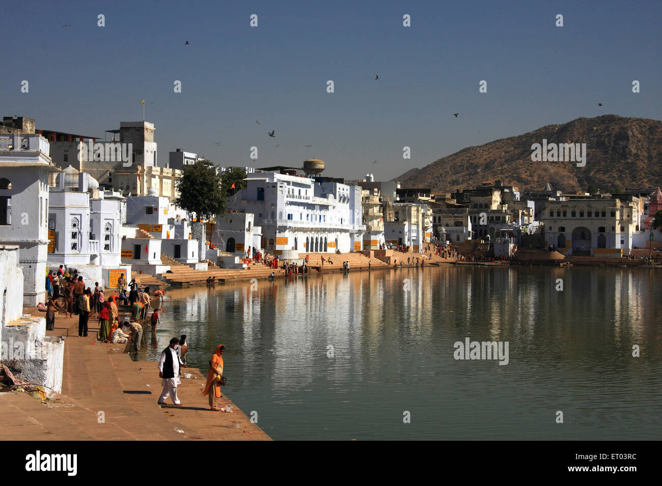 Lac Pushkar Rajasthan ; Inde ; Banque D'Images