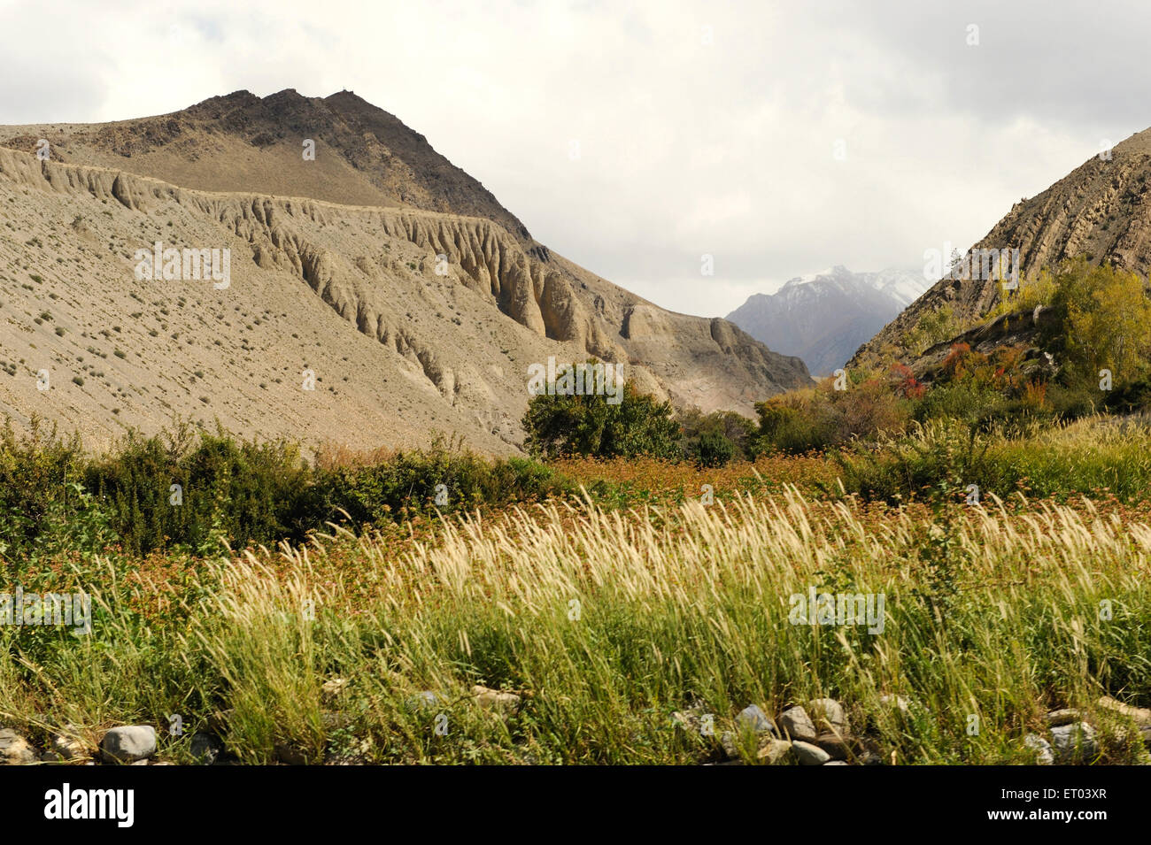 Paysage , Kagbeni , Tashi Kang , Népal , République fédérale démocratique du Népal , Asie du Sud , Asie Banque D'Images