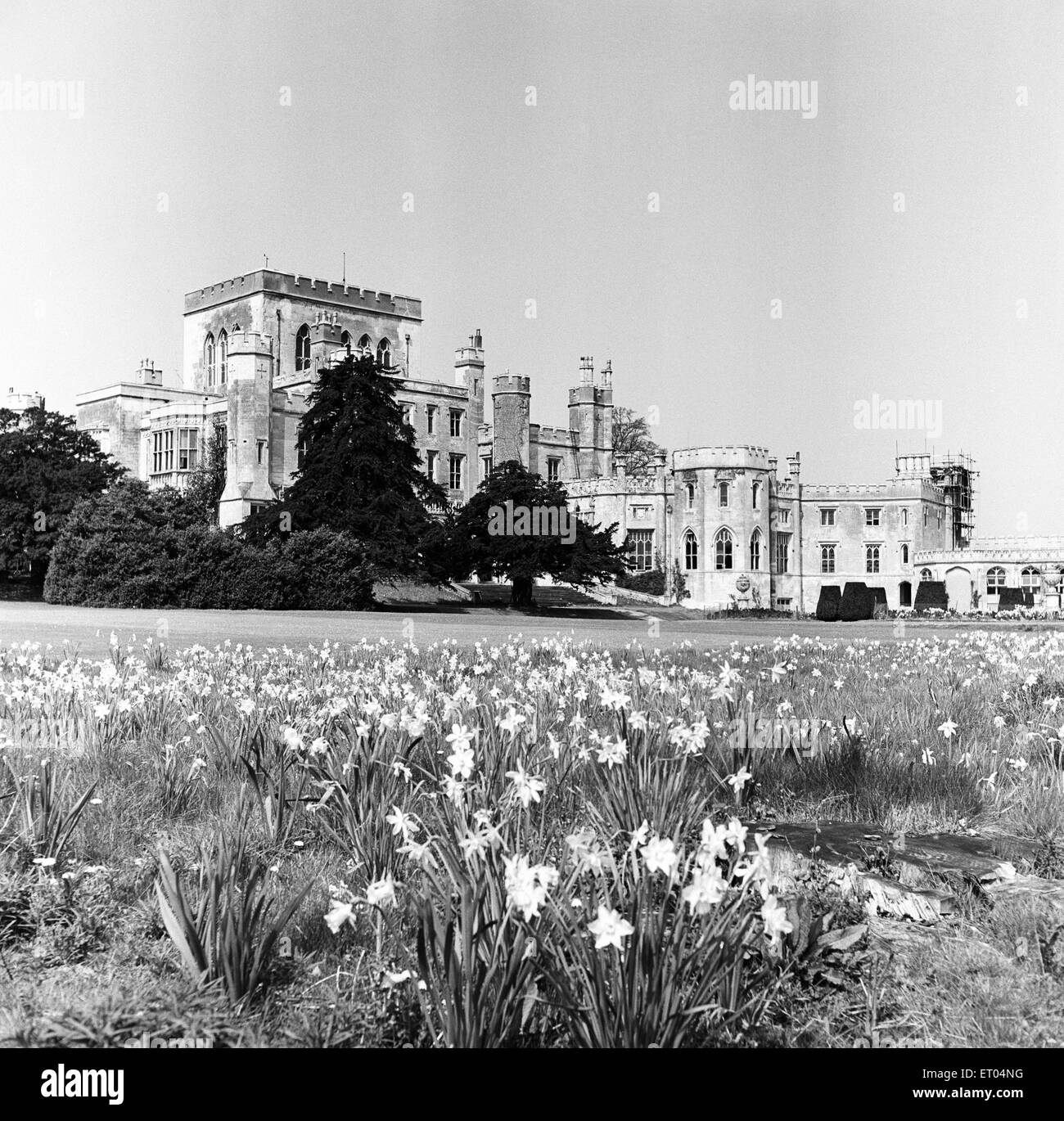 Ashridge House dans le Hertfordshire. 18 mai 1954. Banque D'Images