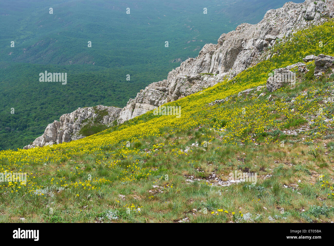 La saison du printemps sur Chatyr-Dah dans le massif montagneux de la péninsule de Crimée Banque D'Images