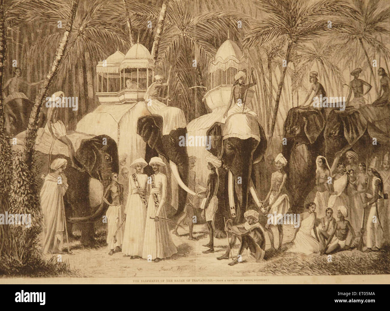 Éléphants de Rajah Roi de Travancore, Royaume de Travancore, Royaume de Thiruvithamkoor, Inde, ancienne illustration de gravure vintage 1800s Banque D'Images