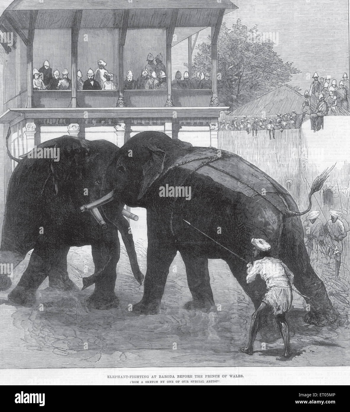 La chasse des animaux et de l'éléphant ; vues ; les combats à Baroda avant le prince de Galles ; Gujarat Inde ; Banque D'Images