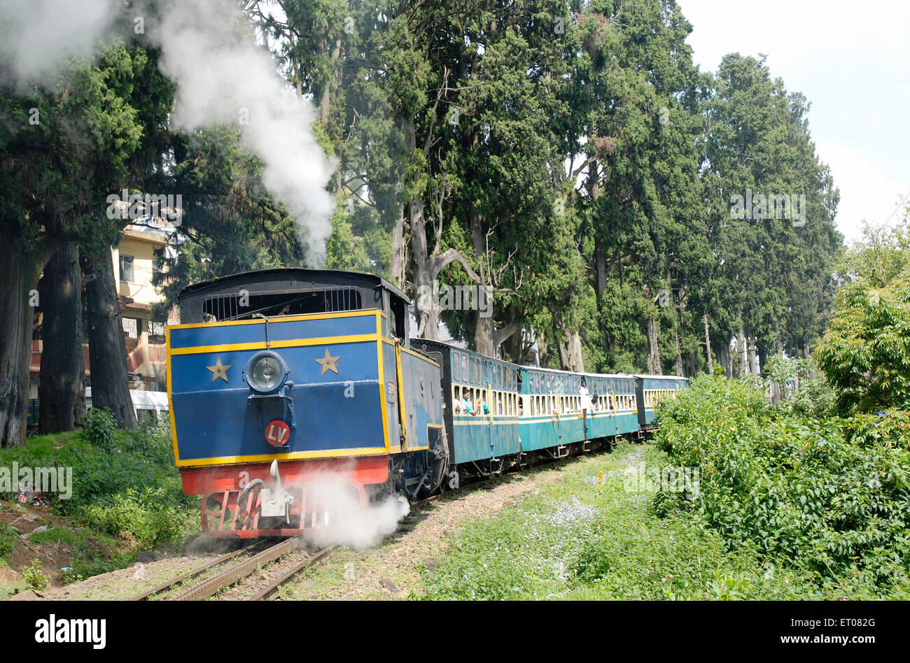 Toy train , Nilgiri Mountain Railway , patrimoine mondial de l'UNESCO , Ooty , Udagamandalam , Nilgiris , Ghats occidentaux , Tamil Nadu , Inde , Asie Banque D'Images