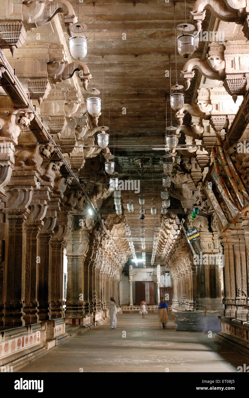 Temple Chidambaram Nataraja , Temple Thillai Nataraja , Temple Nataraja , Chidambaram , Tamil Nadu , Inde , Asie Banque D'Images