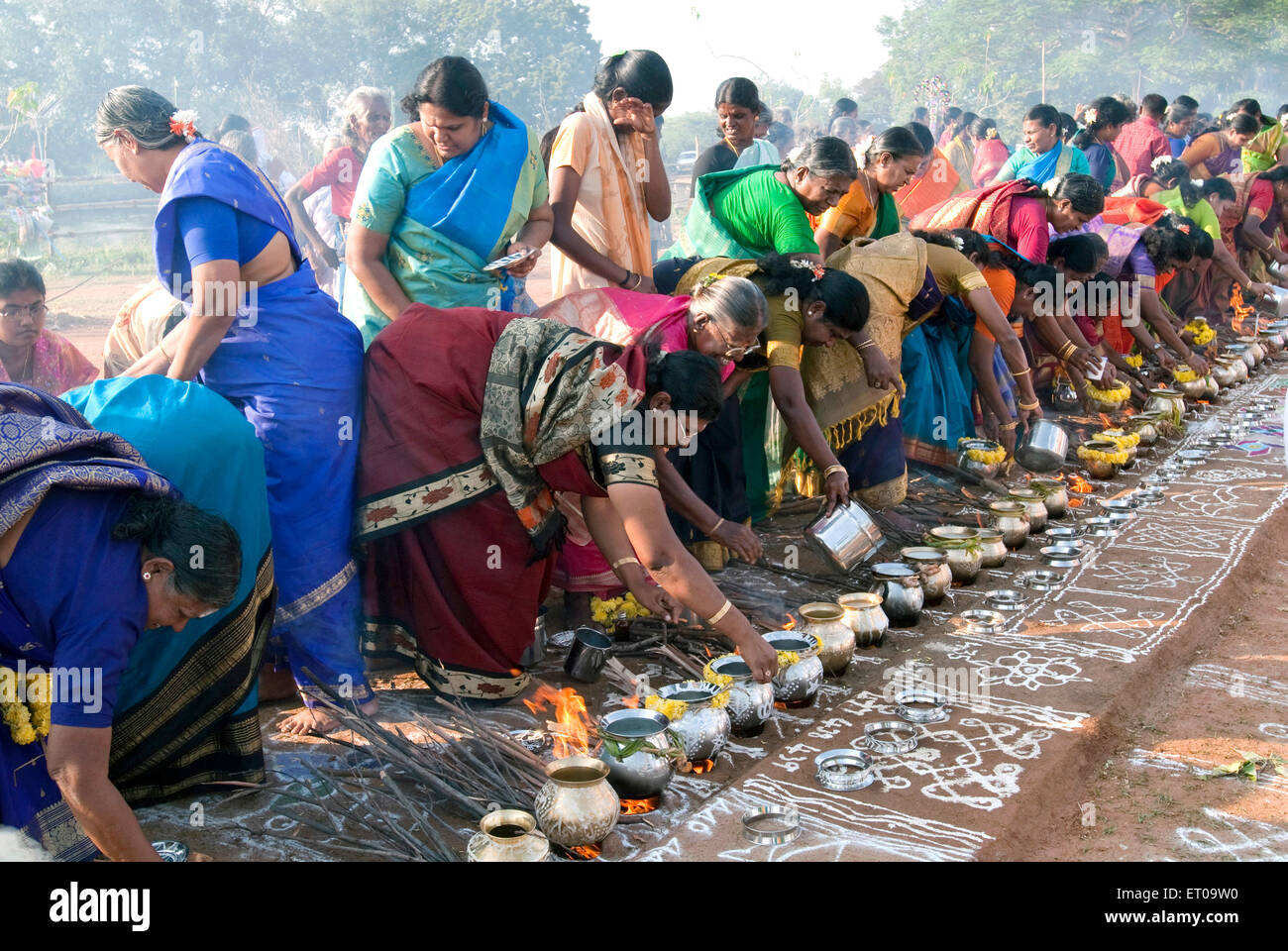 Les femmes célébrant Pongal festival à Tamil Nadu en Inde ; Banque D'Images