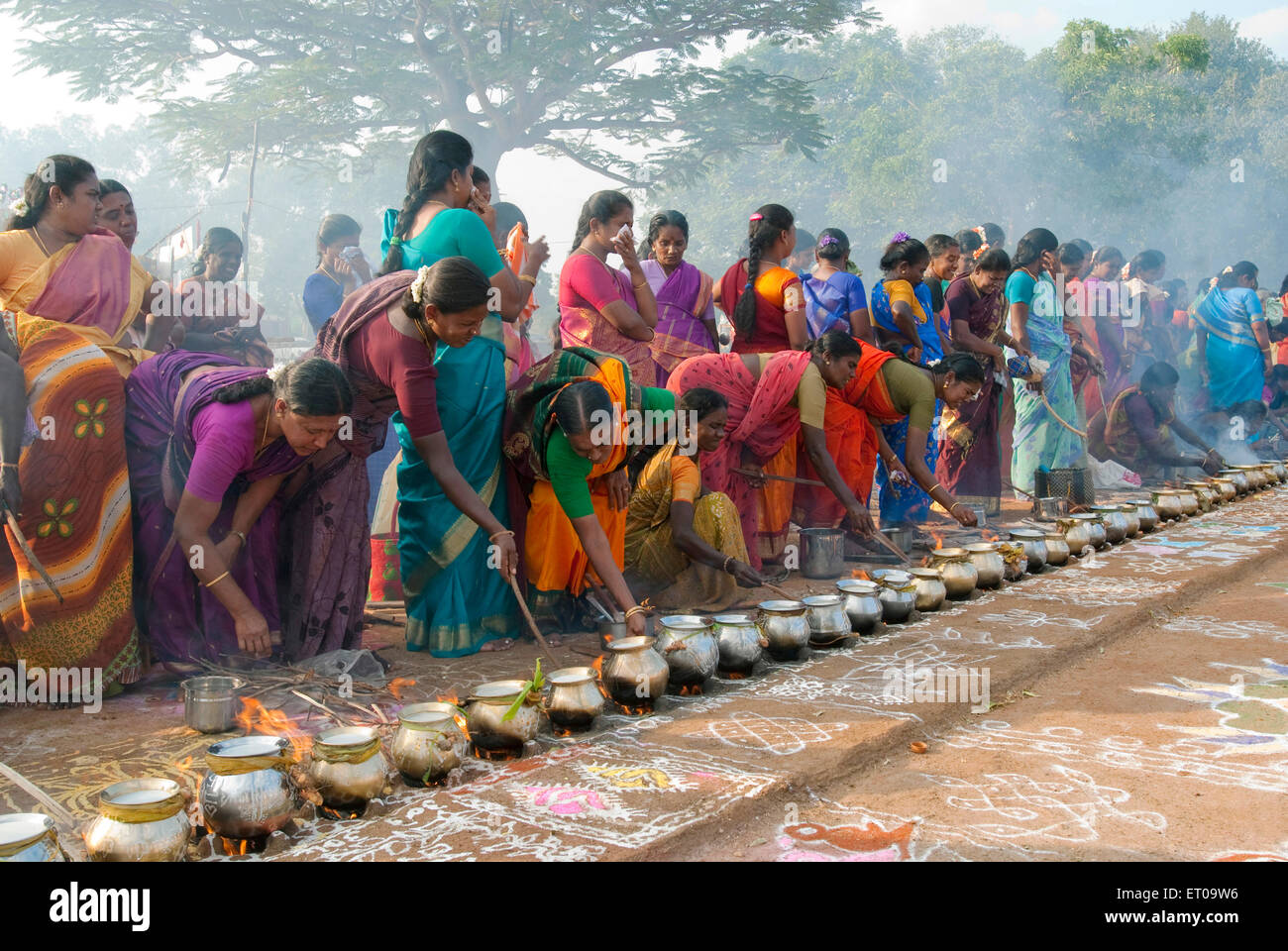 Les femmes célébrant Pongal festival à Tamil Nadu en Inde ; Banque D'Images