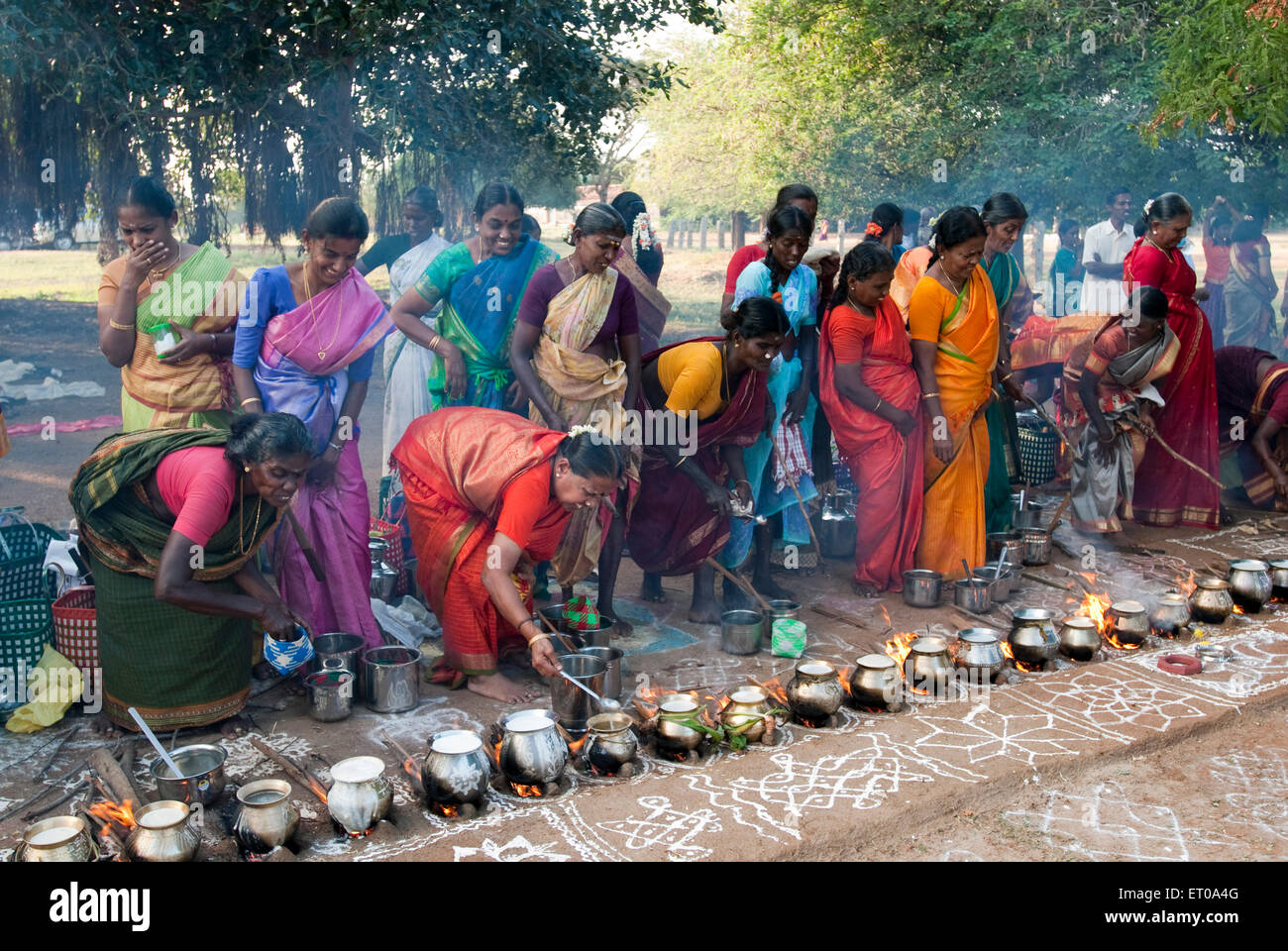 Les femmes célébrant Pongal festival à Tamil Nadu en Inde ; Banque D'Images