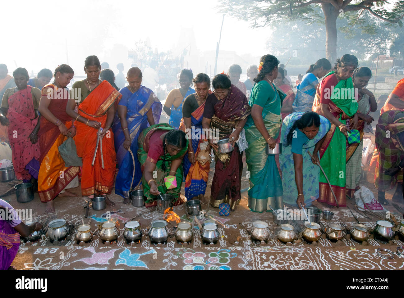 Les femmes célébrant Pongal festival à Tamil Nadu en Inde ; Banque D'Images