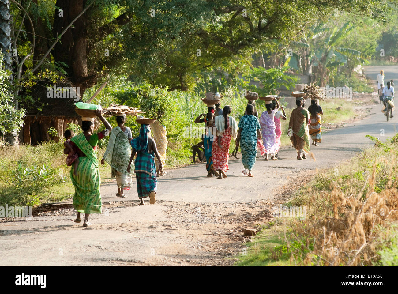 Coolies ; travailleurs routiers près de Natham ; Tamil Nadu Inde ; Banque D'Images