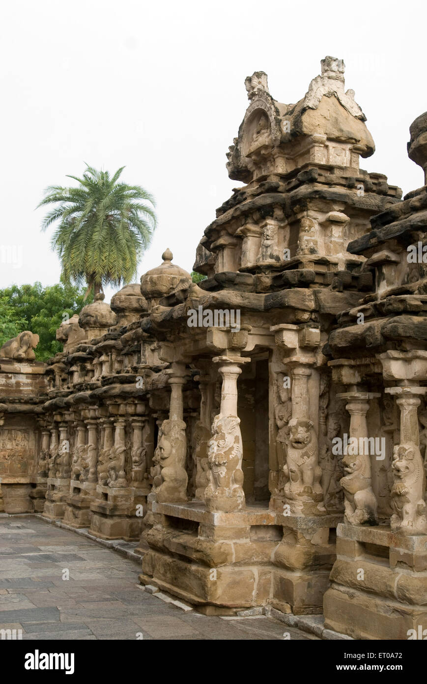 Kailasanatha temple en grès construit par le roi Pallava Narasimhavarman ; Kanchipuram Tamil Nadu Banque D'Images