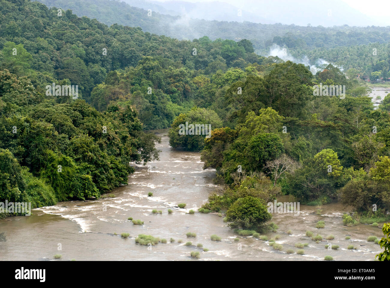Sur le bord de la rivière Chalakkudy forest Sholayar ; gamme ; Inde Kerala Banque D'Images