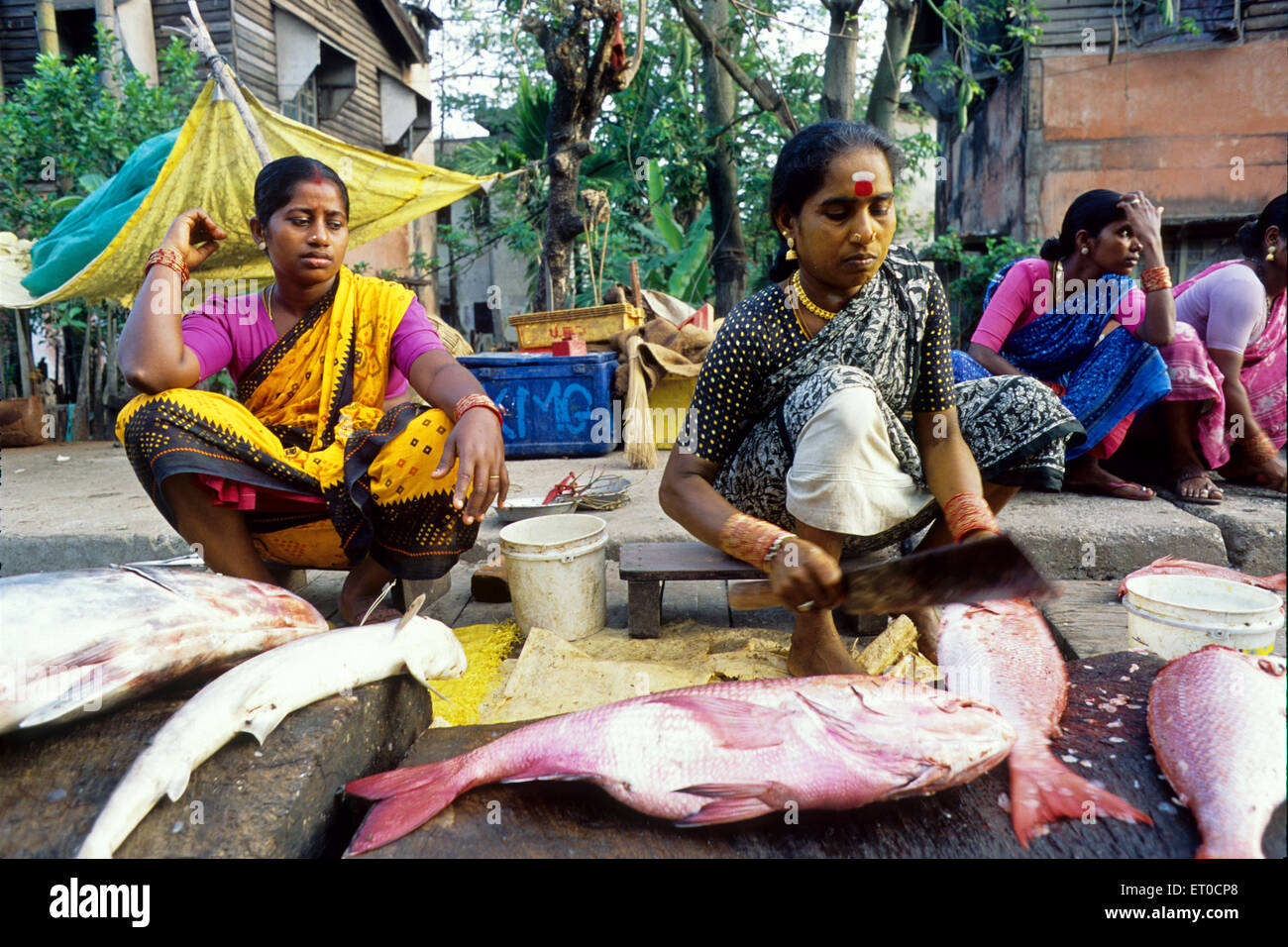 Les femmes couper du poisson à Port Blair dans les îles Andaman ; Inde ; PAS DE MR Banque D'Images