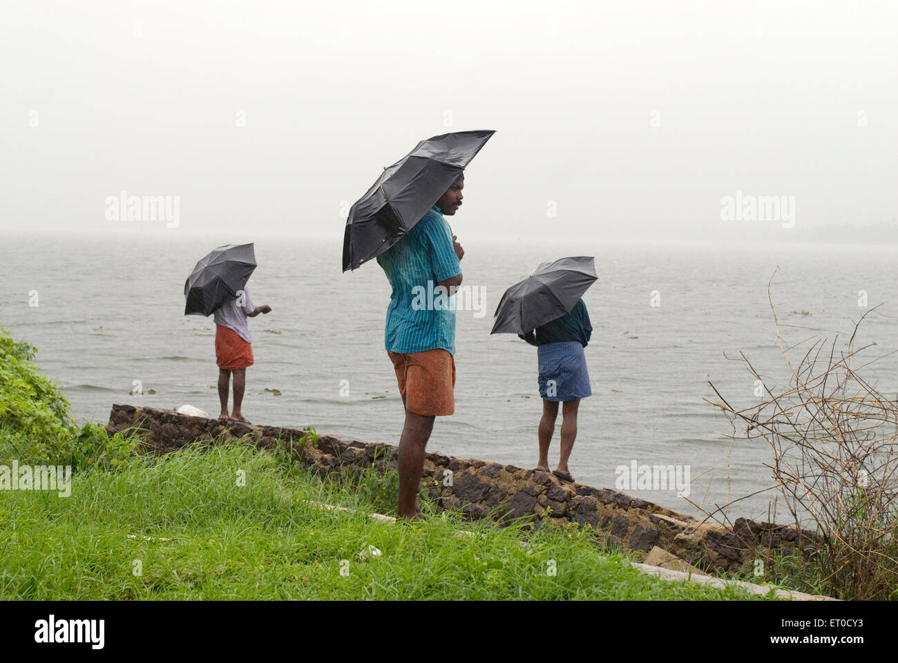 Pêcheurs avec parapluie sous la pluie , Champakulam , Kuttanad , Alappuzha , Alleppey , Kerala , Inde , Asie Banque D'Images