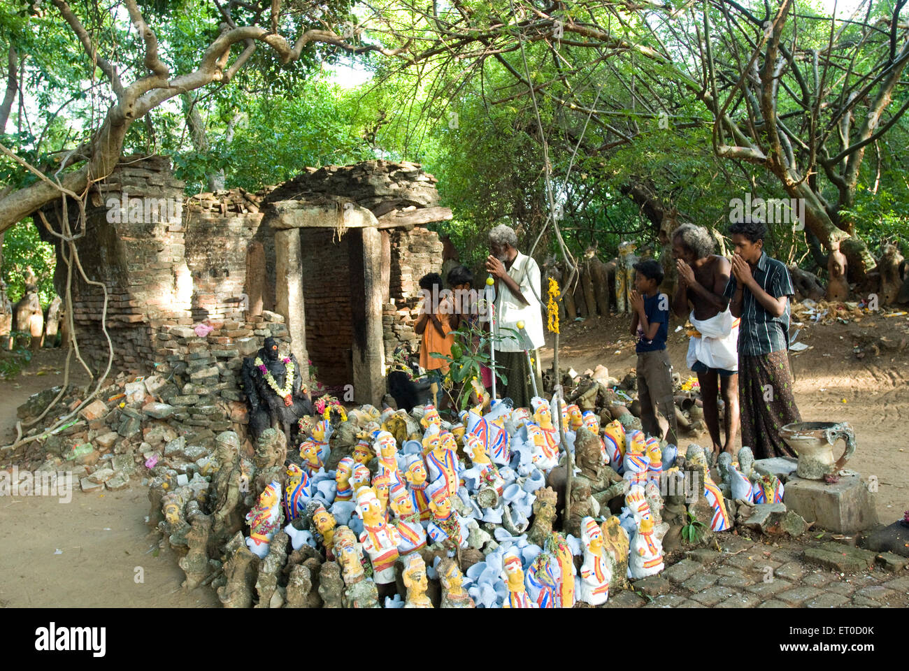 bosquet sacré, ilivandigai solai, sampaathi vanam, kaveri vanam, saaya vanam, Tamil Nadu, Inde Banque D'Images