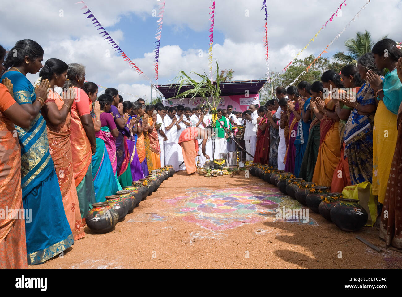 Festival Pongal, Kinatthukkadavu, près de Coimbatore, Tamil Nadu, Inde Banque D'Images