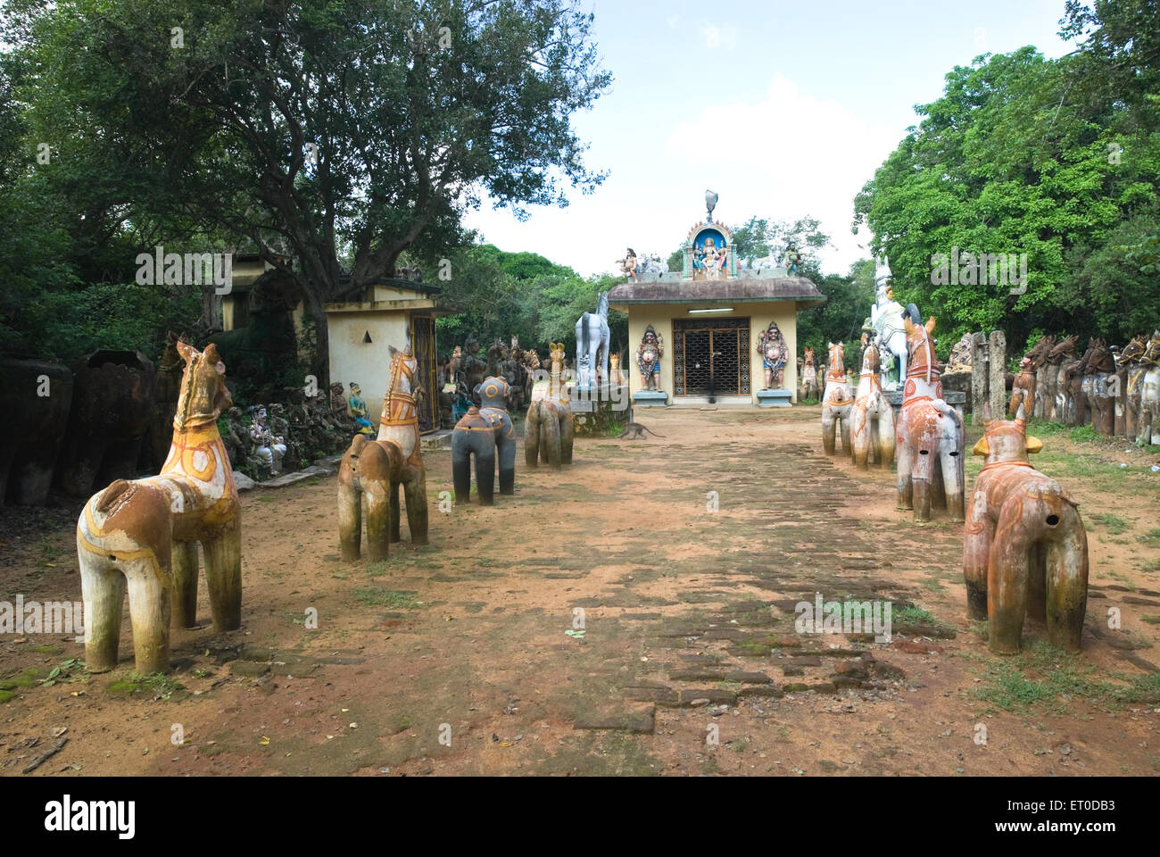 bosquet sacré, Temple Ayyanar, Oorappatti, Pudukkottai, Tamil Nadu, Inde Banque D'Images