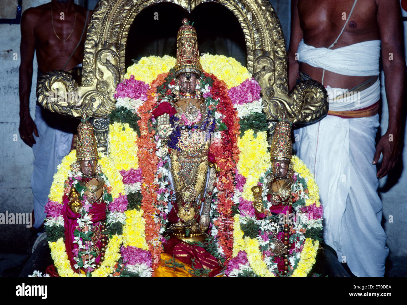 Urchava varadarajaswamy déité de temple avec consorts ; ; ; Kanchipuram Tamil Nadu Inde Banque D'Images
