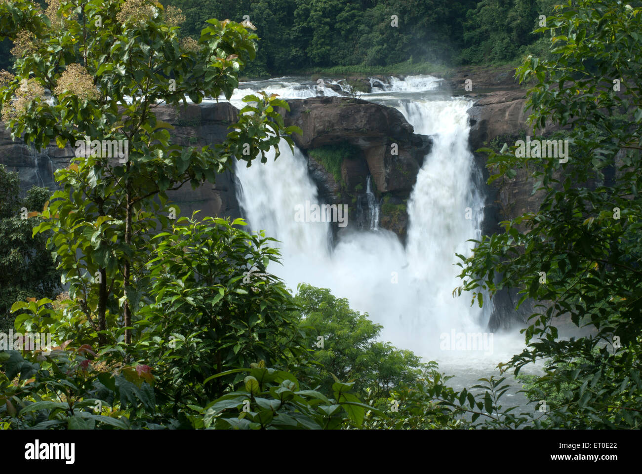 Athirappilly Water Falls, Athirappilly Falls, Athirapilly Falls, Chalakudy, Thrissur, Trichur, Kerala, Inde, Asie Banque D'Images