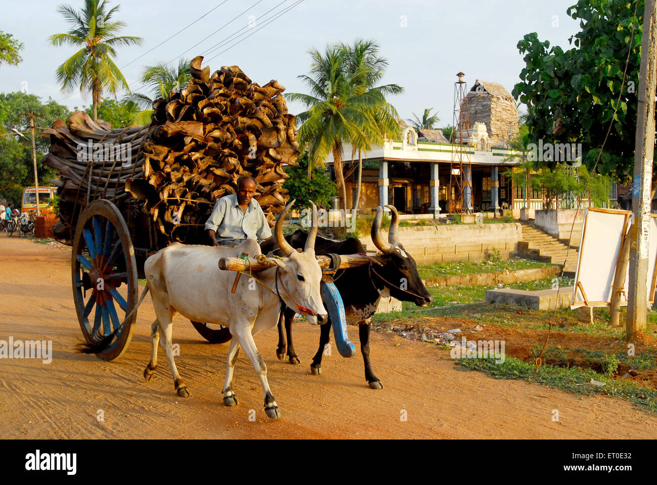 Charrette transportant du cocotier de feuilles séchées ; Shanghai ; Tamil Nadu Inde ; M.# 777A Banque D'Images