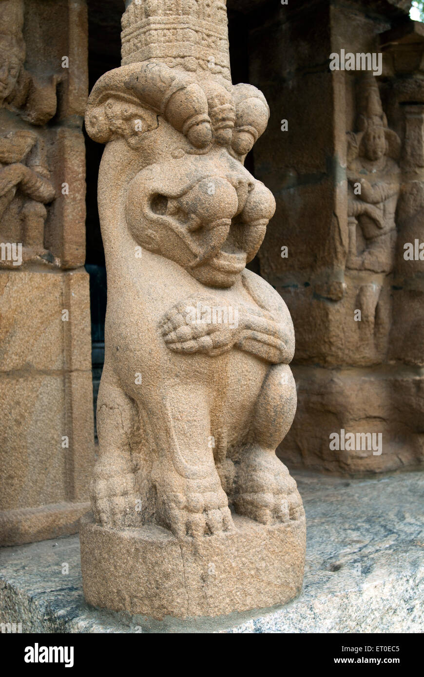Pilier de la sculpture du lion, Temple Kailasanathar, Kanchipuram, Kanchi, Kancheepuram, Tamil Nadu, Inde, Asie Banque D'Images