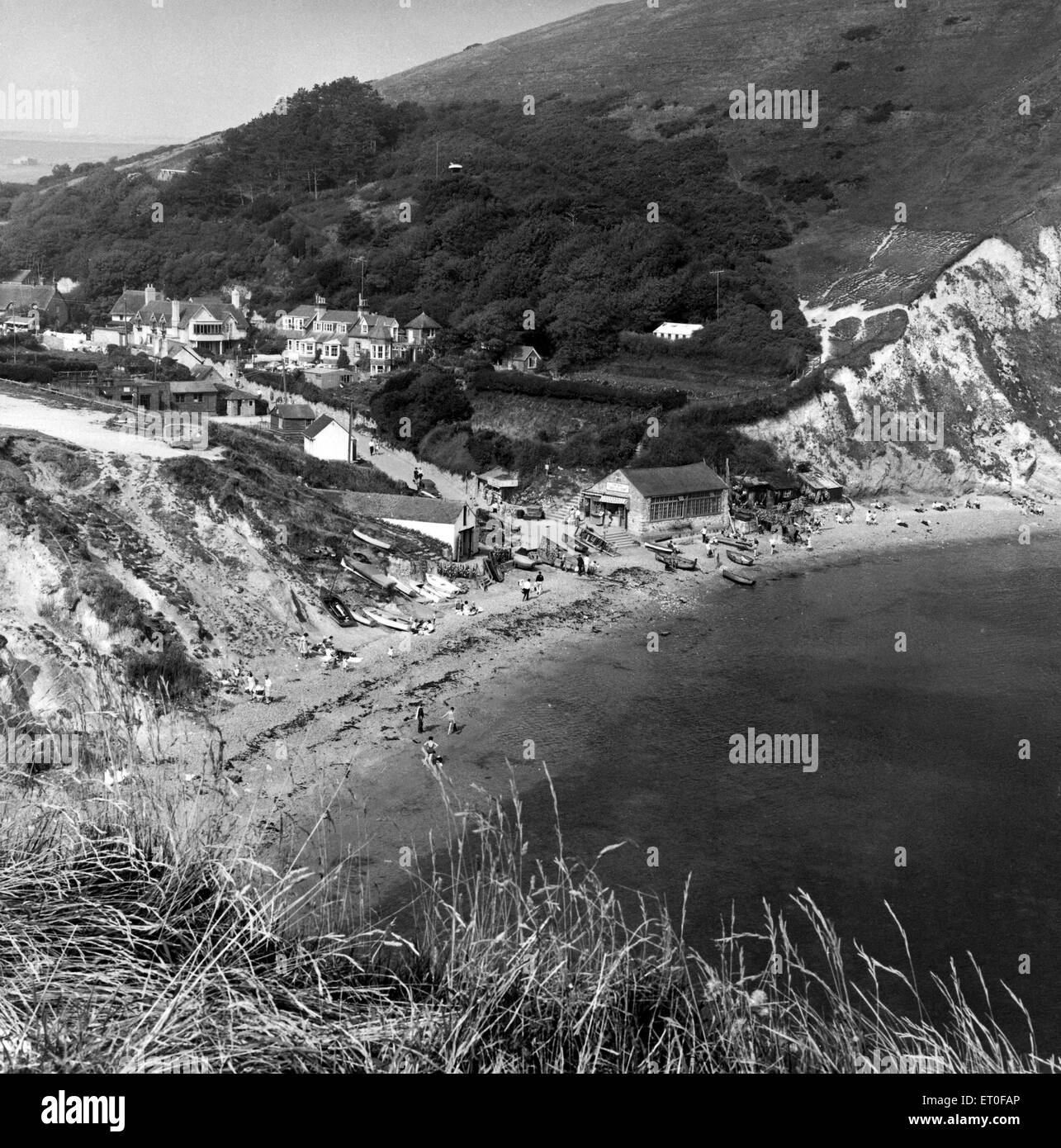 La colline de Lulworth Cove et Bindon, Dorset. Vers 1955. Banque D'Images