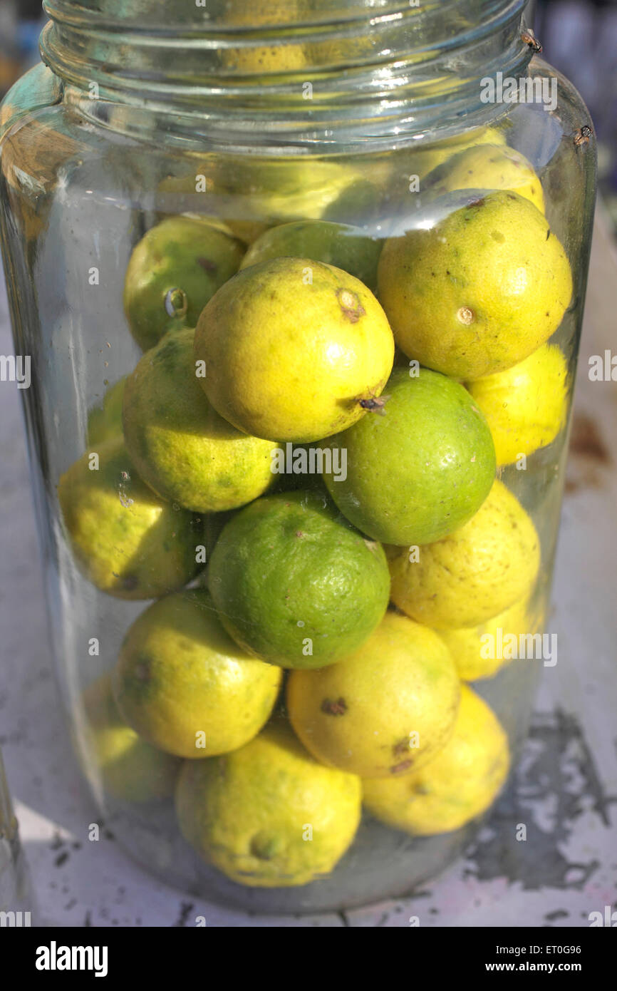 Citrons à l'intérieur du pot en verre , Anand , Charotar , Gujarat , Inde , Asie Banque D'Images