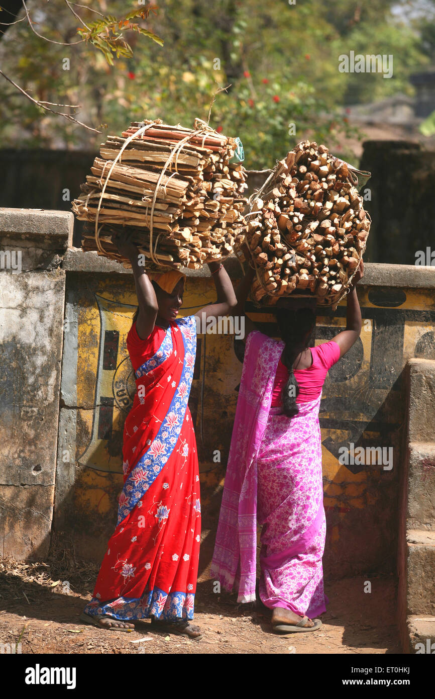 Mesdames exerçant son chargement de bois sur la tête du Jharkhand en Inde ; Banque D'Images