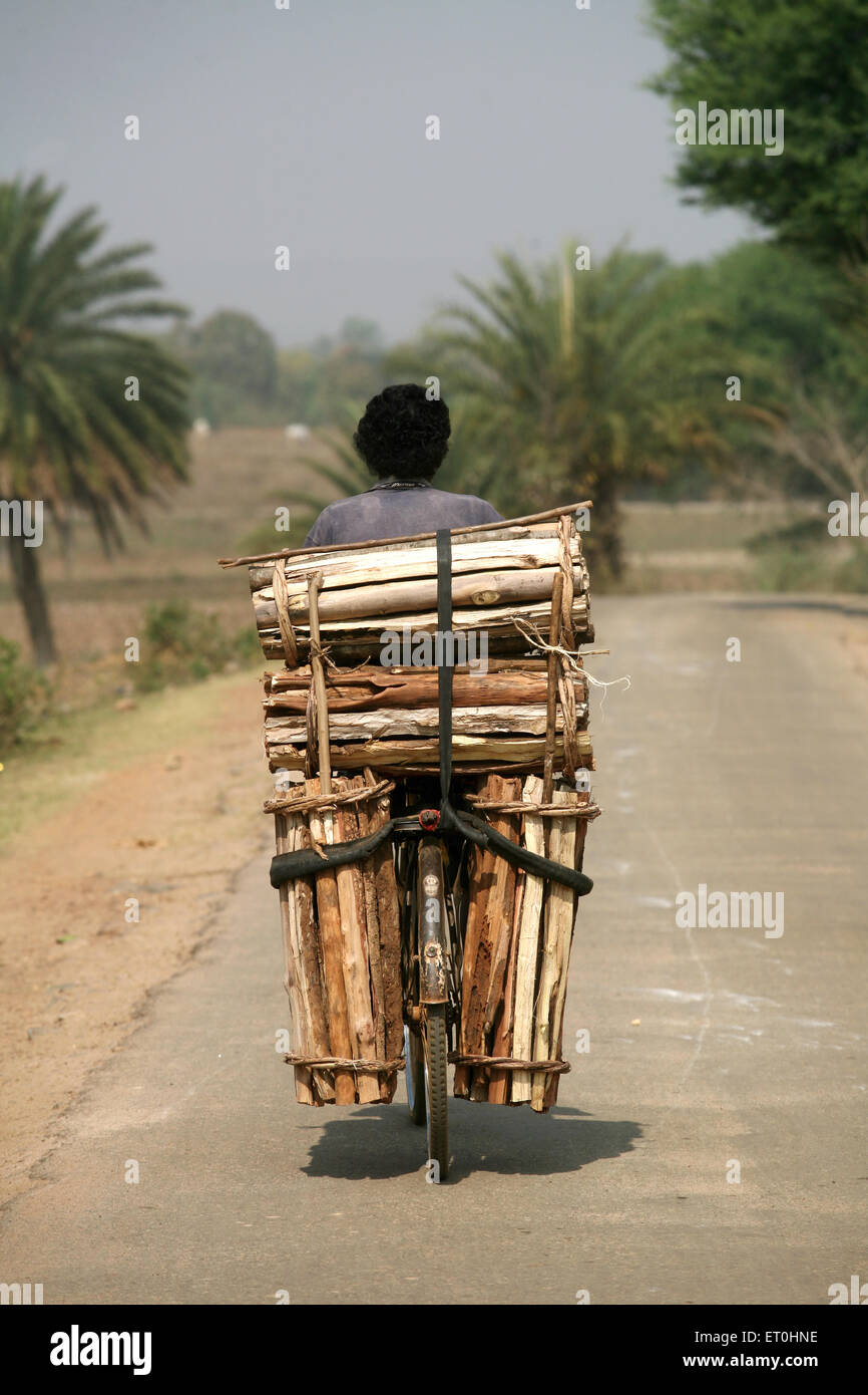 Homme portant du bois sur vélo, Jamshedpur, Jharkhand, Inde, vie indienne Banque D'Images