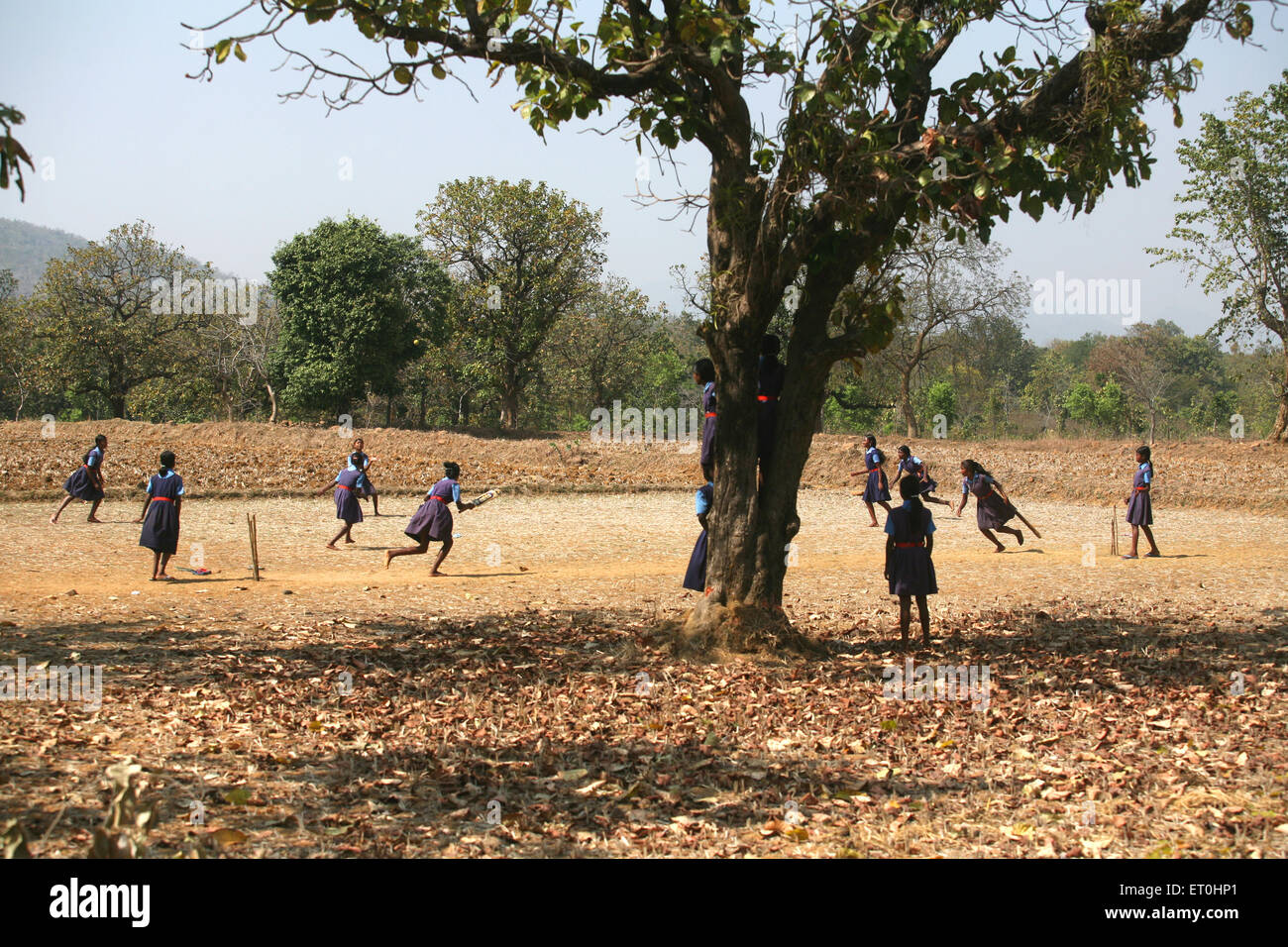 Filles d'école, uniforme scolaire, jouer au cricket, terrain de village, Jharkhand, Inde, sports ruraux indiens Banque D'Images