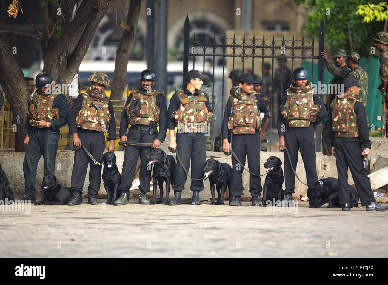 Gardes de sécurité nationale commandos NSG avec des chiens à l'extérieur de Taj Mahal Hôtel après avoir tué des terroristes Bombay Mumbai Maharashtra Inde Indien Banque D'Images