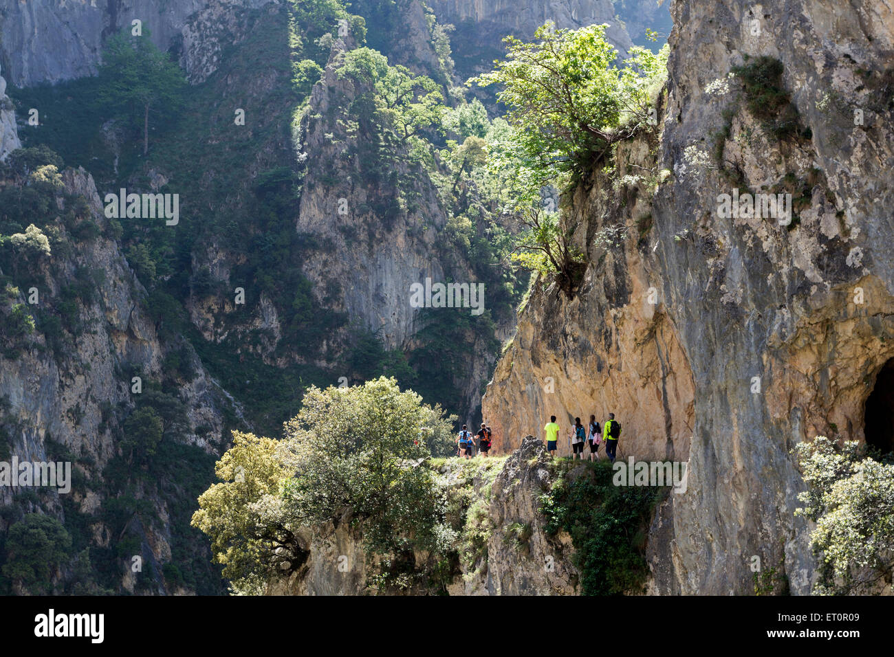 Les marcheurs dans les gorges de Cares Picos de Europa Cantabria Espagne Cordillère Banque D'Images