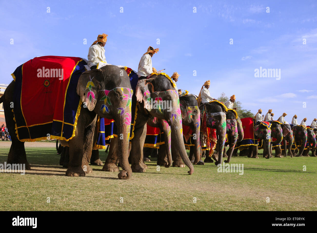 éléphant peint, éléphant décoré, décoration d'éléphant, parade d'éléphant, festival d'éléphant. Jaipur, Rajasthan, Inde, festivals indiens Banque D'Images
