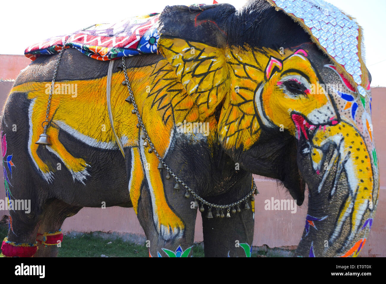 éléphant peint, éléphant décoré, décoration d'éléphant, parade d'éléphant, festival d'éléphant. Jaipur, Rajasthan, Inde, festivals indiens Banque D'Images