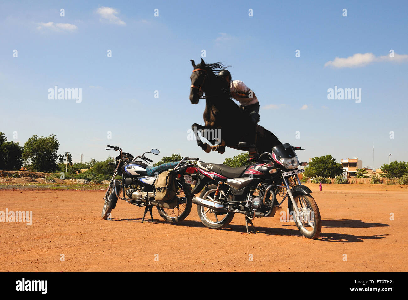 Saut de cheval sur des motos au Festival de Marwar ; Jodhpur ; Rajasthan ; Inde Banque D'Images