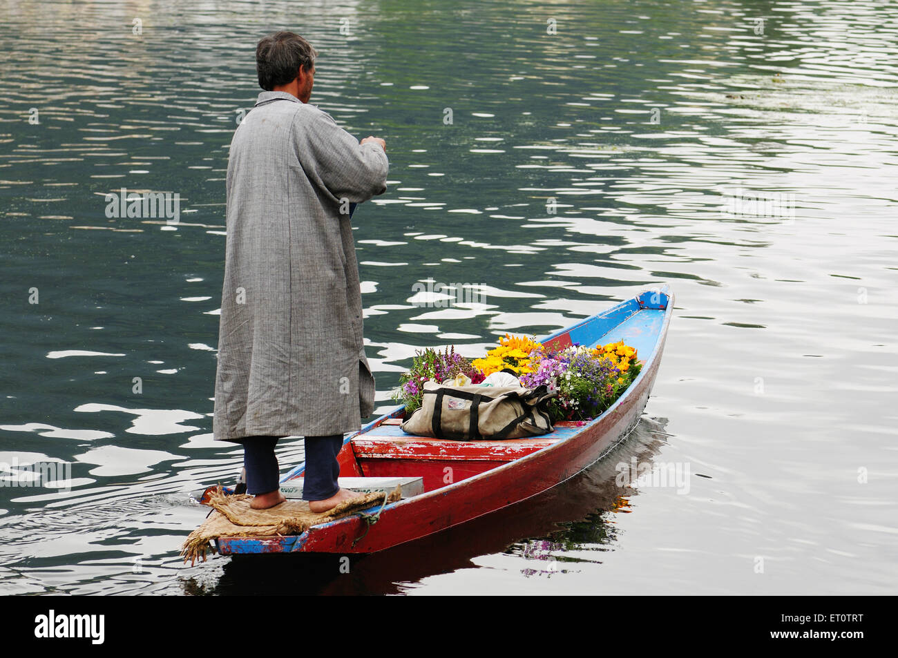 Marchande de fleurs du Cachemire en canot sur le lac Dal ; Srinagar, Jammu-et-Cachemire ; Inde ; Banque D'Images