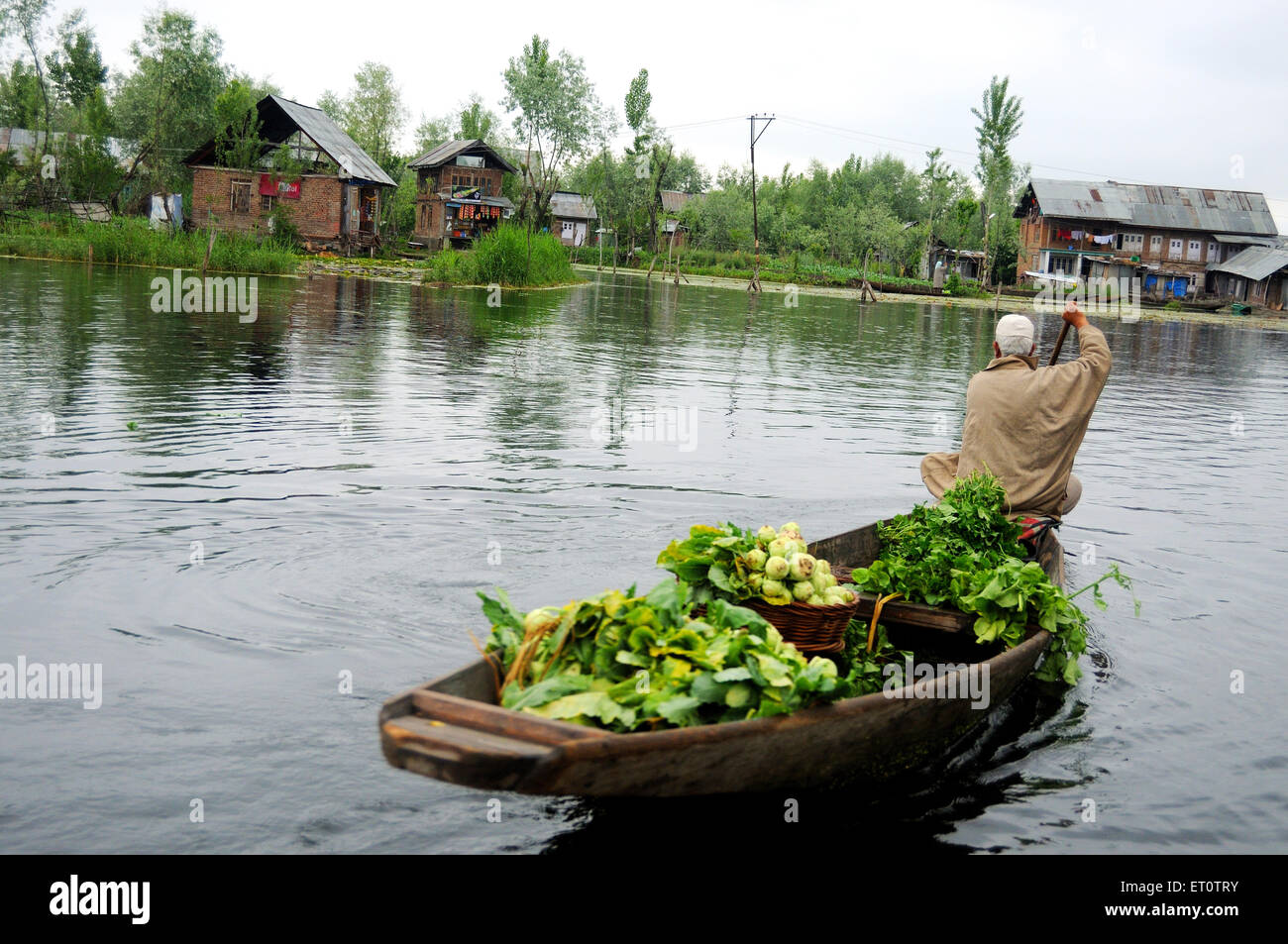 Vendeur de légumes Kashmiri en canot sur le lac Dal ; Srinagar, Jammu-et-Cachemire ; Inde ; Banque D'Images
