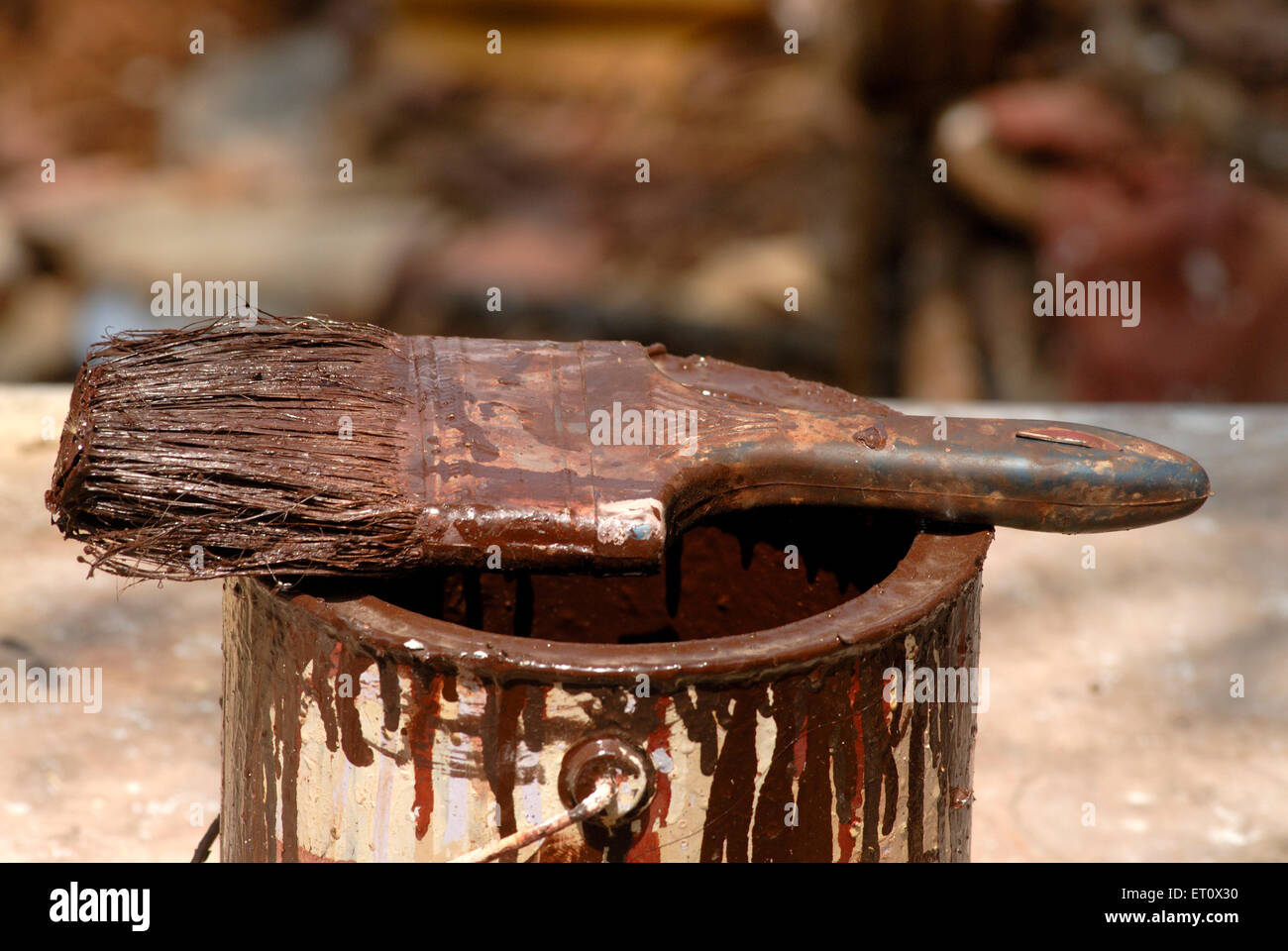 Pinceau de couleur marron trempé, Jambhulwadi, Raigad, Maharashtra, Inde Banque D'Images