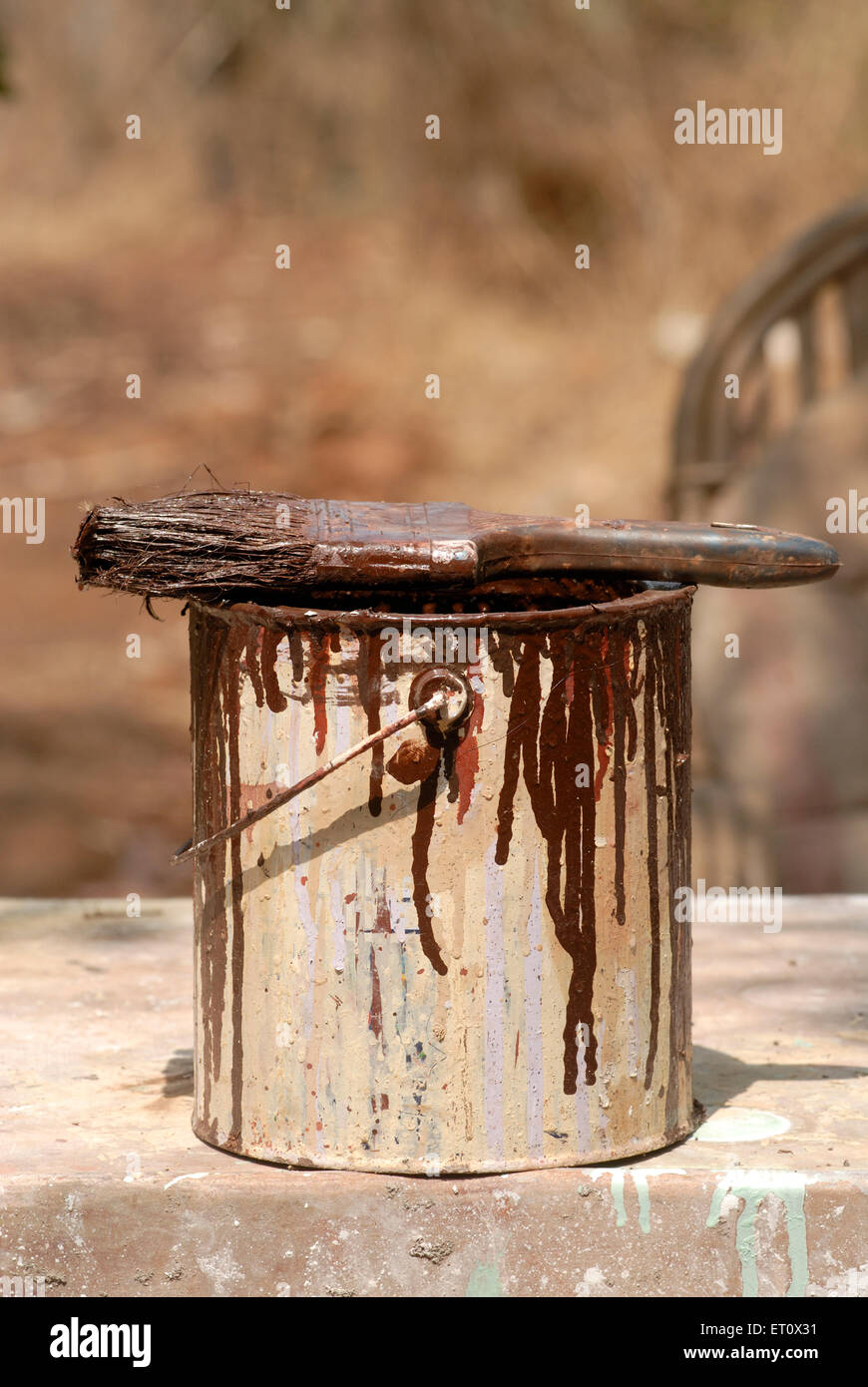 Pinceau de couleur marron trempé, Jambhulwadi, Raigad, Maharashtra, Inde Banque D'Images