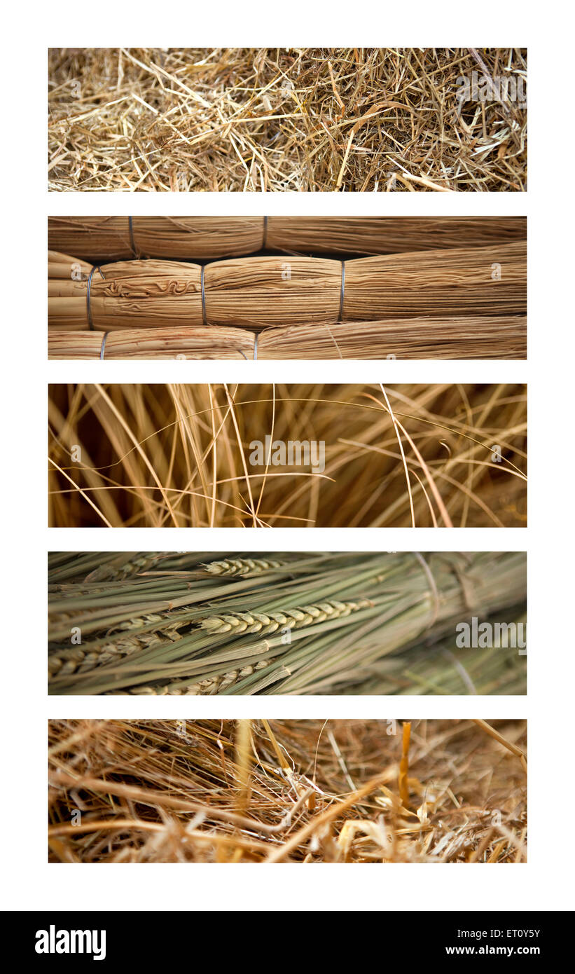 Paille et foin de textures sur un collage Banque D'Images