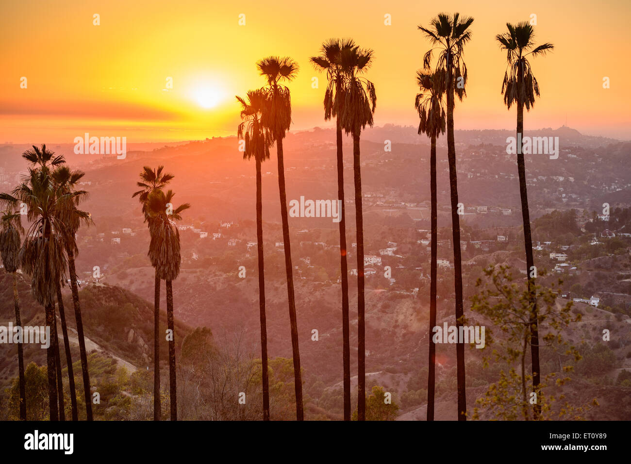 Griffith Park, Los Angeles, Californie, USA. Banque D'Images